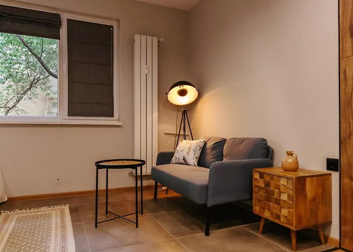 Vinyl Studio Apartment Sofia